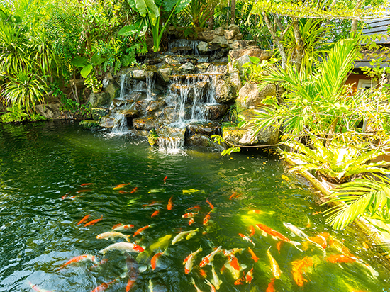 1603942922376685.jpg 00.jpg